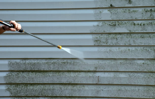Best Attic Mold Removal  in Cambria, IL