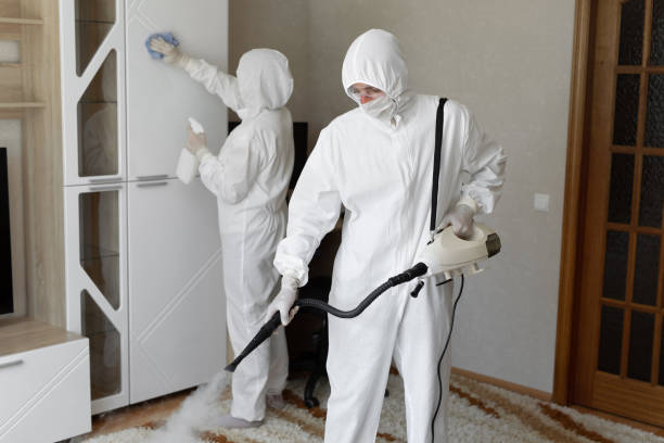 Best Crawl Space Mold Removal  in Cambria, IL