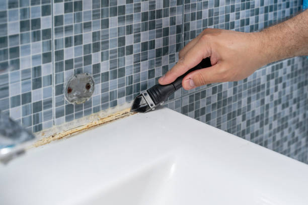Best Office Mold Removal Services  in Cambria, IL