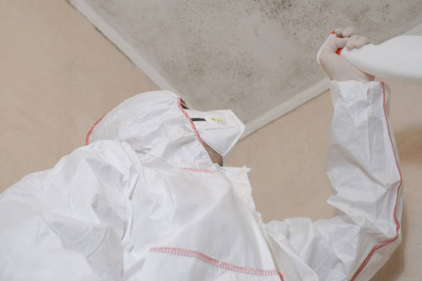 Best Commercial Mold Removal  in Cambria, IL