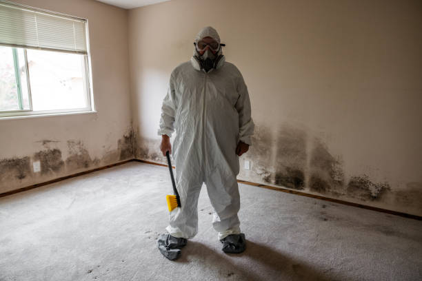 Best Mold Testing  in Cambria, IL